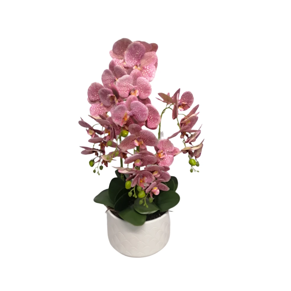 Artificial Orchid In Pot 72cm White Pot