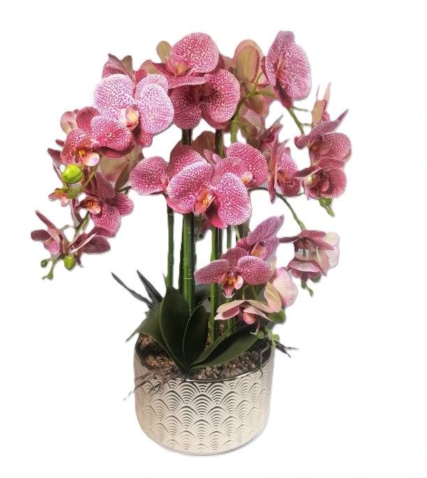 Artificial Orchid In Pot 72cm Gold Pot