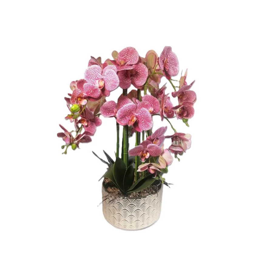 Orchid In Pot 72cm Gold Pot